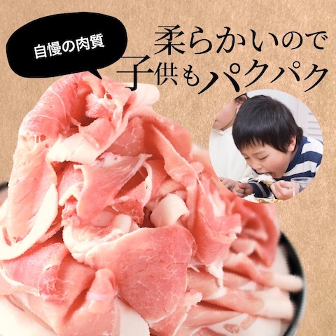 ふるさと納税返礼品宮崎市豚肉切り落とし4kg