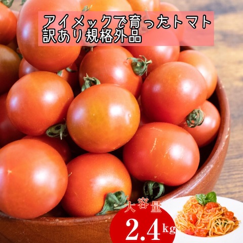 ふるさと納税返礼品佐川町トマト2.4kg