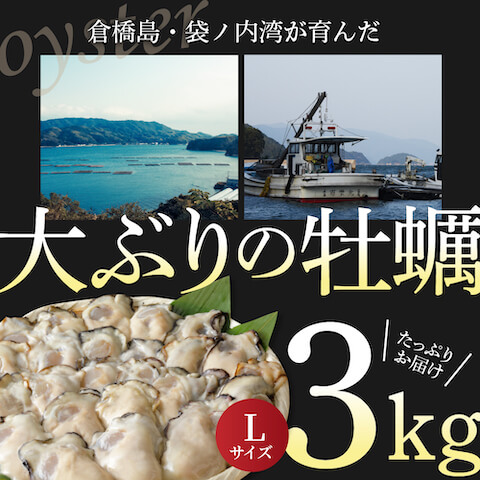 ふるさと納税返礼広島呉市牡蠣